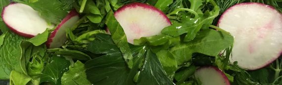 Spring Salad With Radishes, Herbs, and Greens